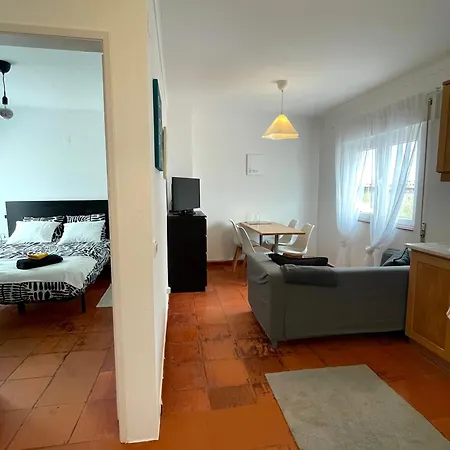 Sardine Sanctuary - The Cozy * Ferrel (Leiria)