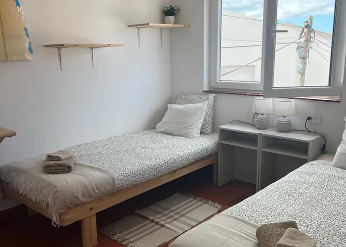 Sardine Sanctuary - The Cozy 费雷尔