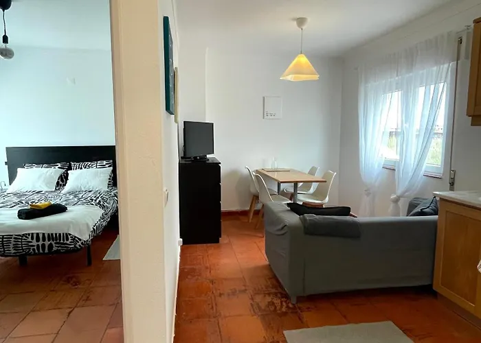 Sardine Sanctuary - The Cozy * 费雷尔